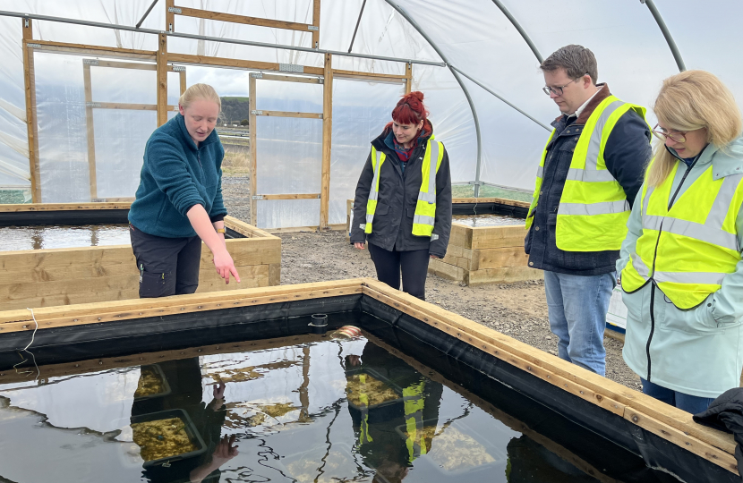 Joel James MS with Emily, Louise and Carly, looking at seagrass trials 